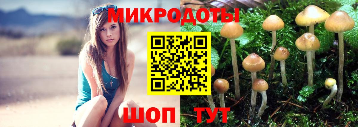 Орехово-Зуево  Галлюциногенные грибы Psilocybine cubensis  Галлюциногенные грибы Psilocybine cubensis  Вход с VPN 